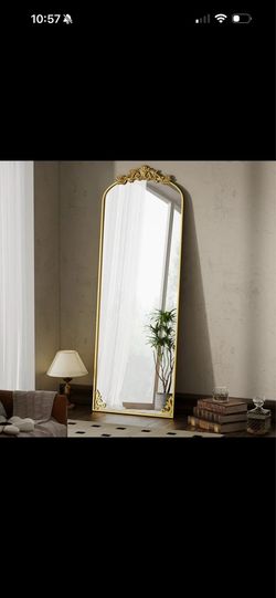 Full Body Mirror New