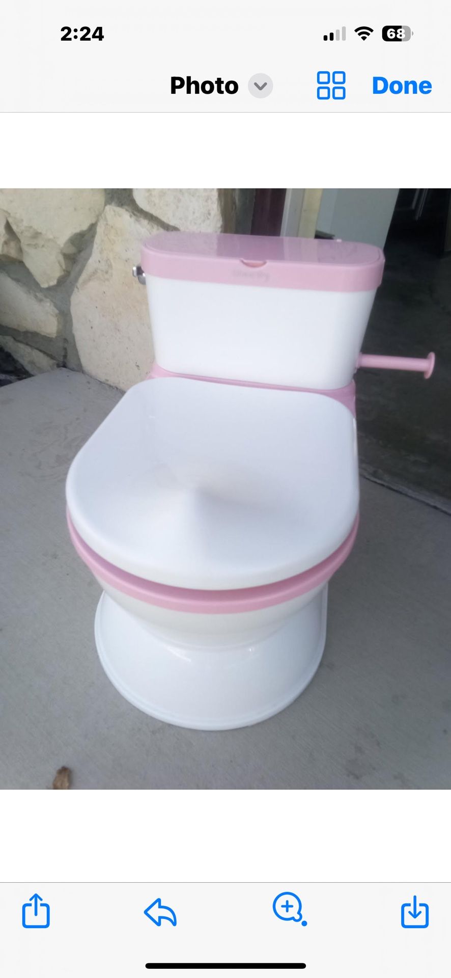 Potty Chair 