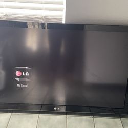 46 Inch Lg 