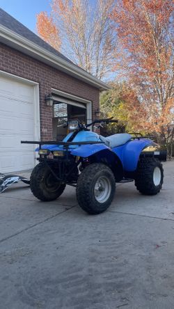 1987 Polaris Trailboss 250 - Needs Work