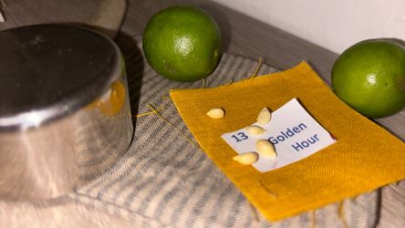 Key Lime Seeds