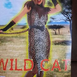 Wildcat Halloween Costume, like-new, Women S