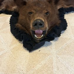 Brown bear, taxidermy mounted, and in decent condition. Probably 50 years old or so,Small patches of repair if you wanted to be perfect towards the re