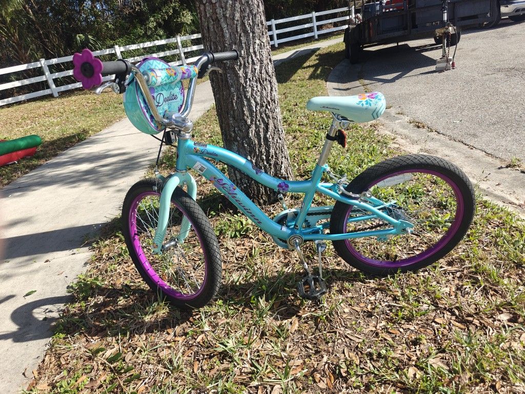 Schwinn Deelite 20" Kids' Bike - Mint Green