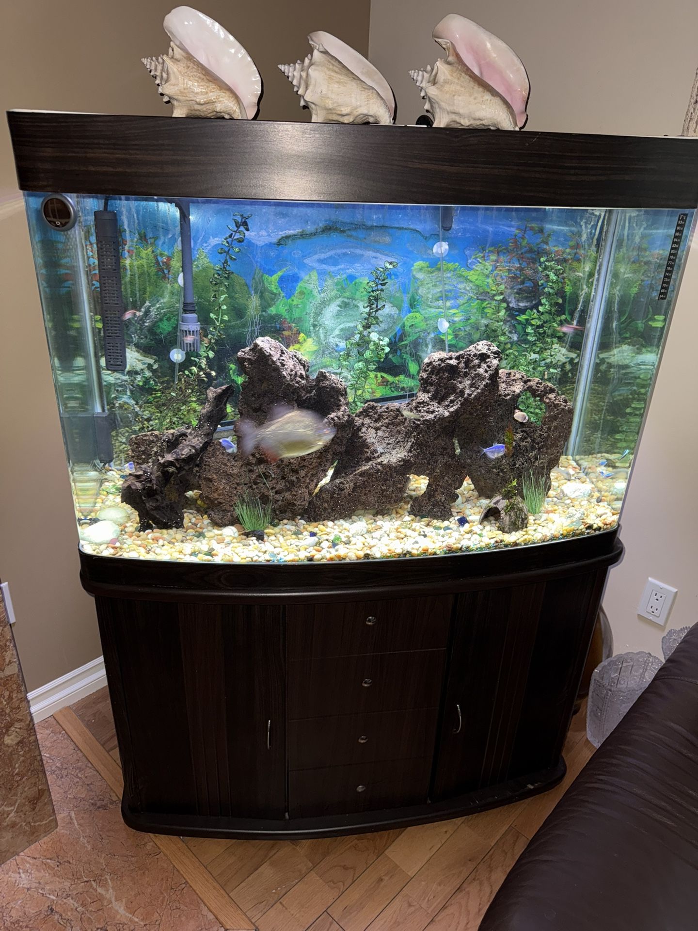 Aquarium
