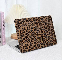 Case 13inch