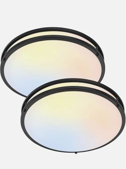 2 Pack LED Flush Mount Ceiling Lights