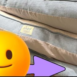 Dog Beds