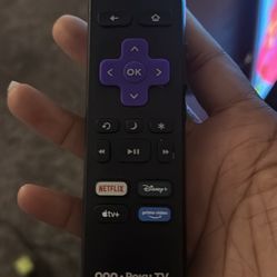 55 Inch Roku Tv