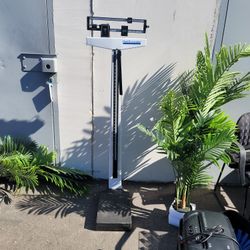 Health O Meter Scale