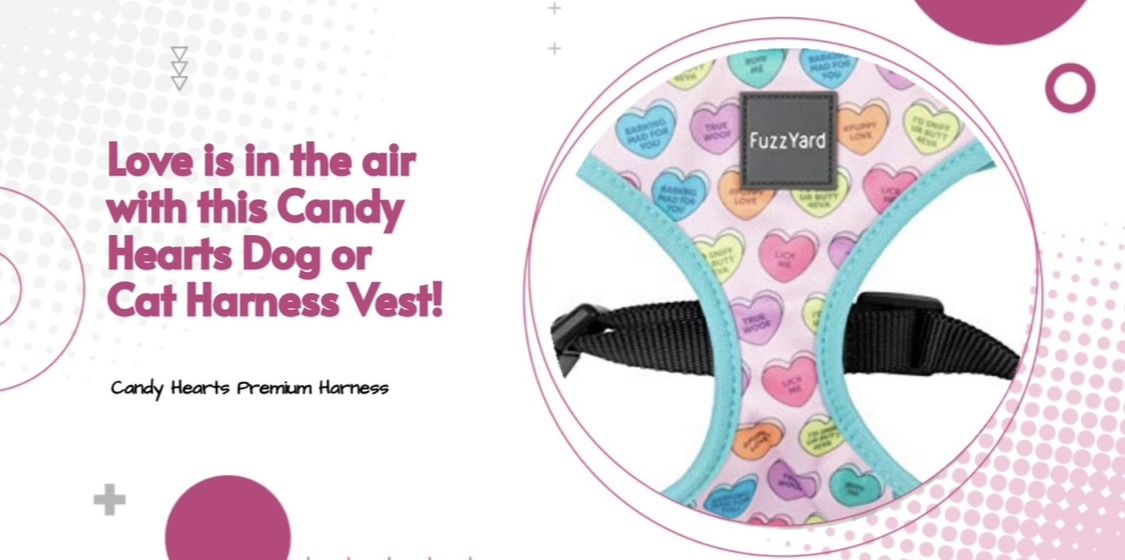 Valentine Harness
