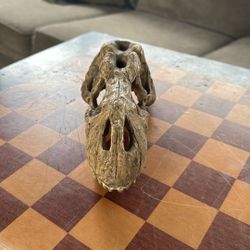 T Rex Skull