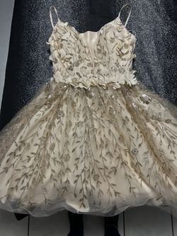 quinceañera dress