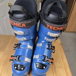 Technica Ski Boots