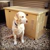 Sidney_thedog