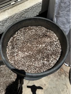 15 Gallon Mixed 50%Coco Coir & 50% Perlite with pot