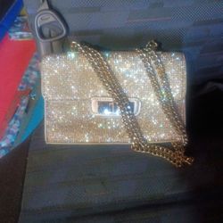 Sparkle Steve Madden Crossbody