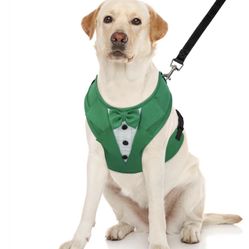 Tuxedo Dog 🐕 Harness Size: M