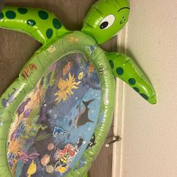 Tummy Time Turtle 