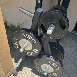 Commercial Grade 2” Weights Storage Tree HOLDS LOTS OF WEIGHT ( Weights Are Not Included )