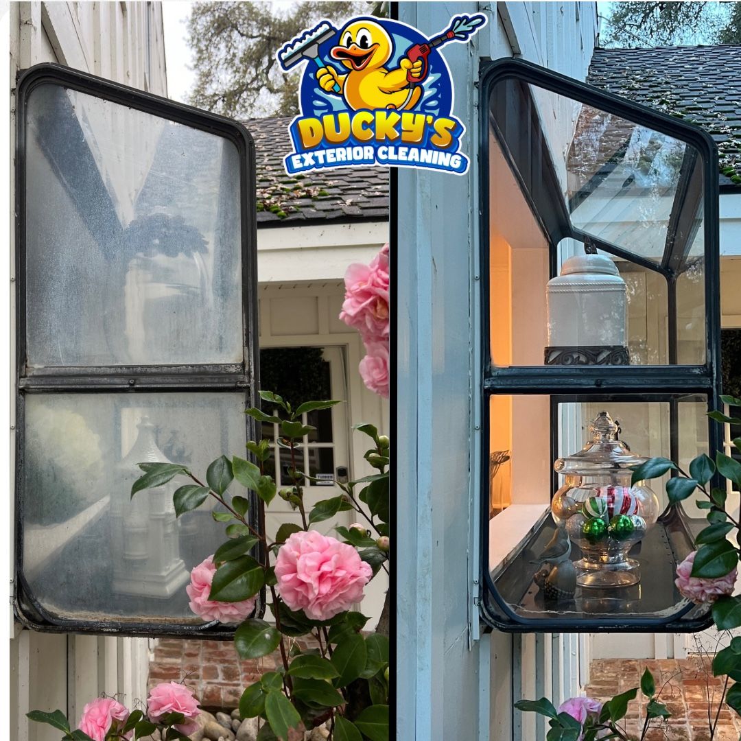 Window Clean