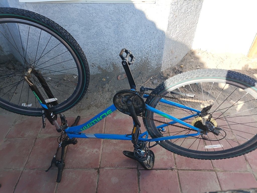 Baby Blue Schwinn 29"