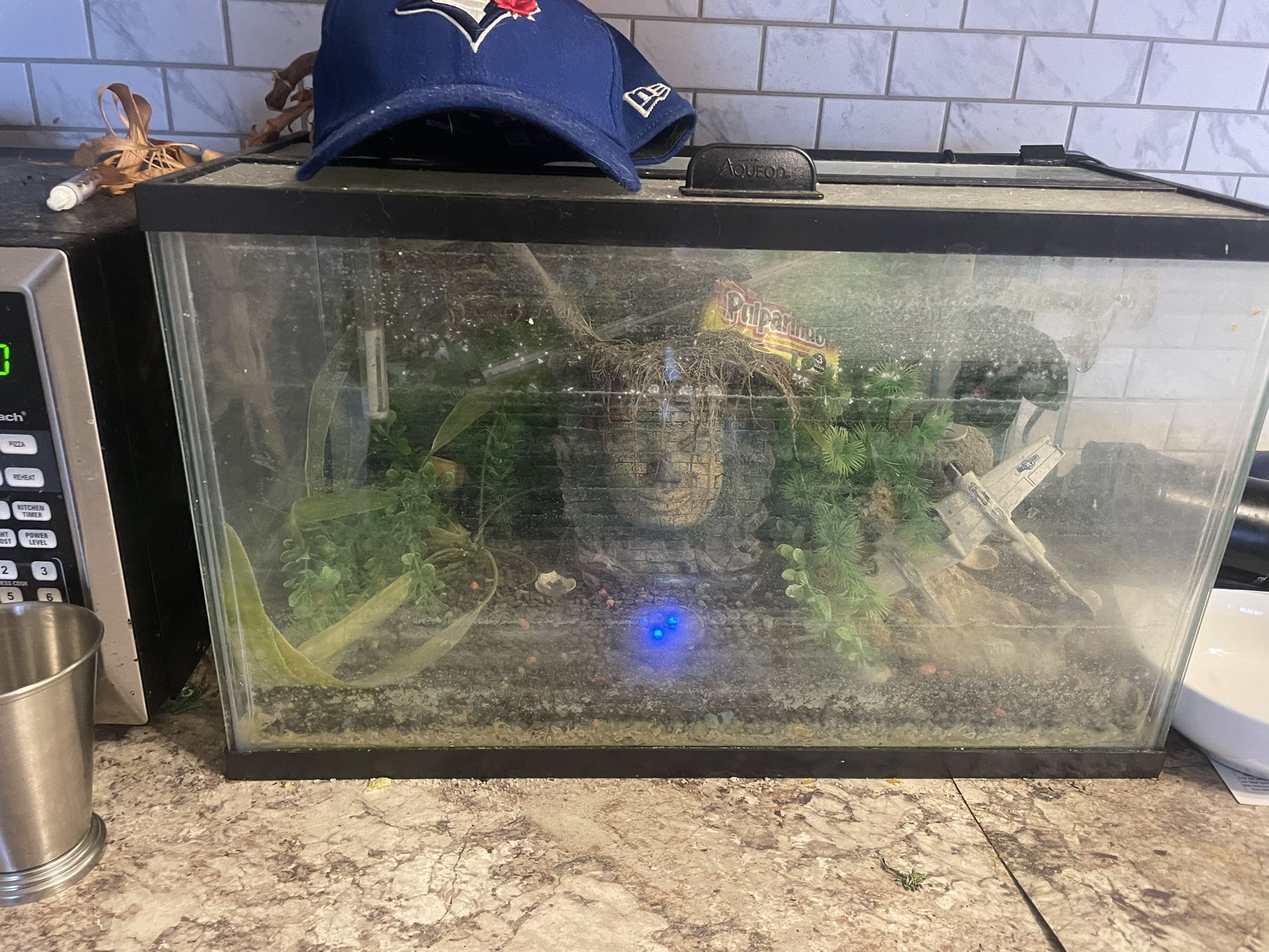 10 Gallon Fish Tank(aquarium) With Filter And Accessories!!!