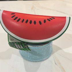 Watermelon squishy
