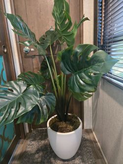 Large Artificial Monstera Plant in White Pot