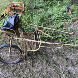 Horse Buggy