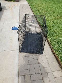 Dog kennel