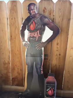 Terrel Owens Cardboard Standup
