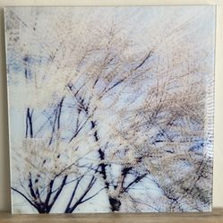 Photograph Of Blooming Cherry Blossoms