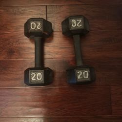 2 x 20lb Metal Weights