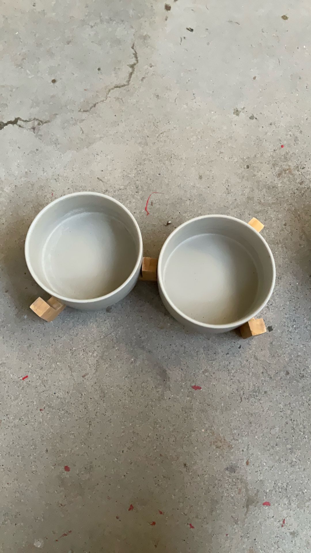 Dog Food Tray