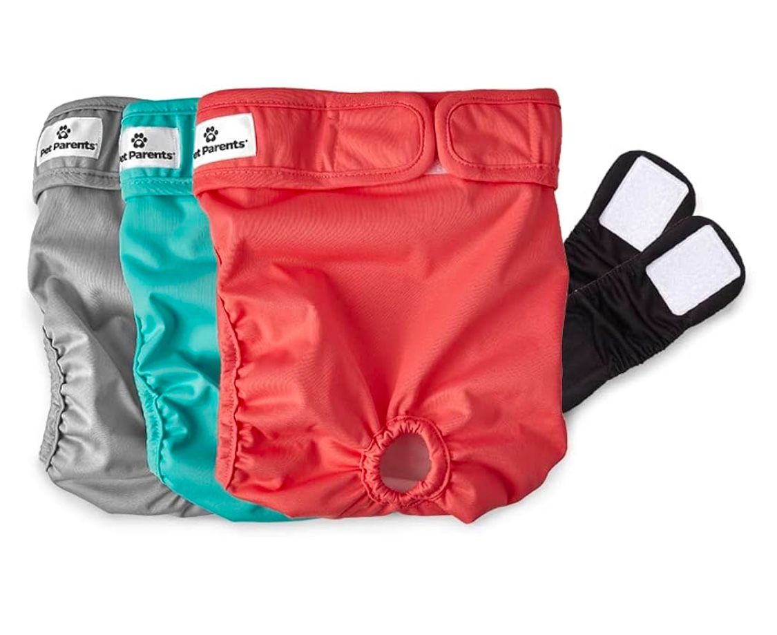 Pet Parents Washable Dog Diapers (3pack) of Durable Doggie Diapers, Premium Female Dog Diapers (X-Large, Southern Belle)
