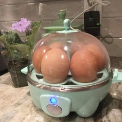 Rapid Egg Cooker