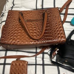 Purse And Wallet 