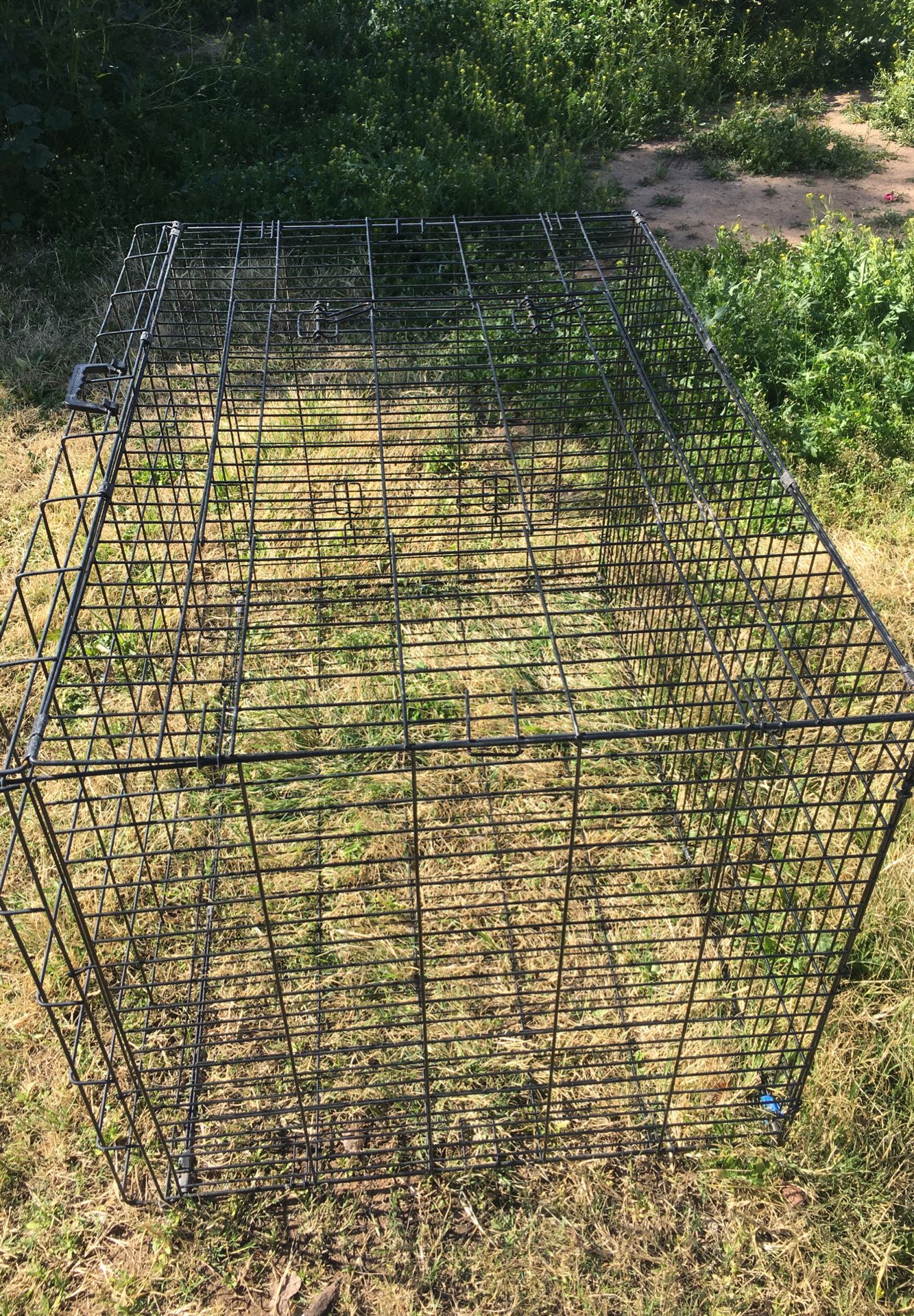 XL dog crate for Sale in Phoenix, AZ OfferUp