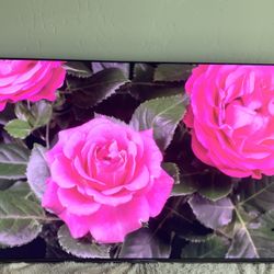 Samsung tv un55KS8000 55 inch, 4K Ultra HD (SUHD) Smart TV