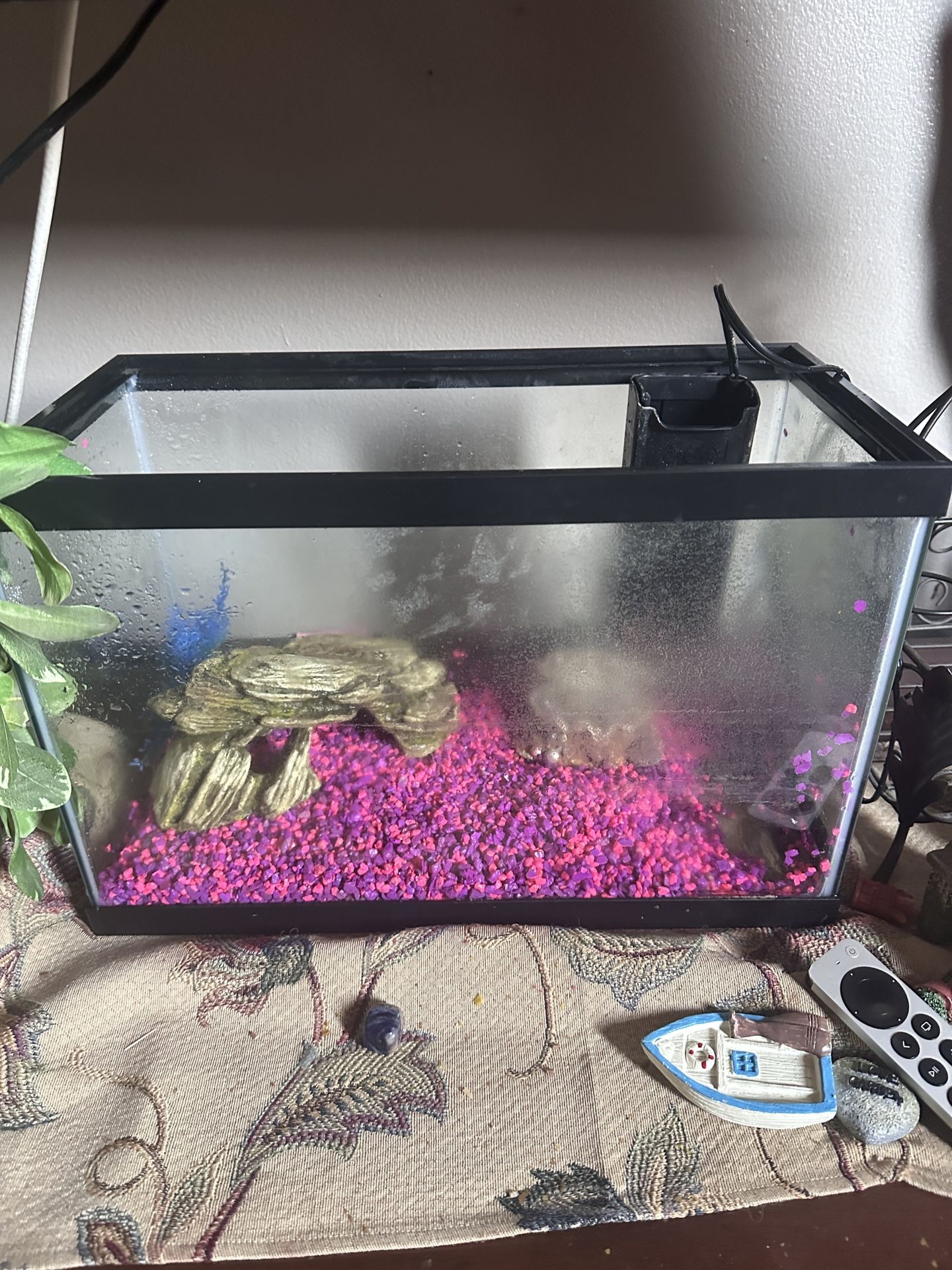 Fish Tank