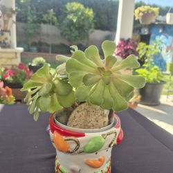 Christmas Planter With Succulents