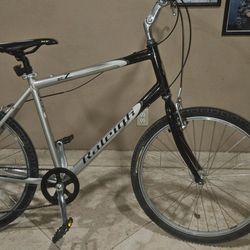 Raleigh Bicycle  "READ DISCRIPTION "