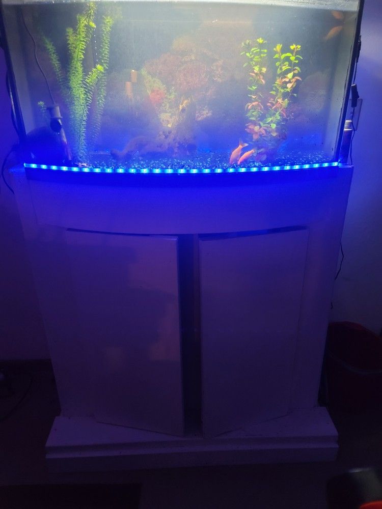 55 Gallon Aquarium