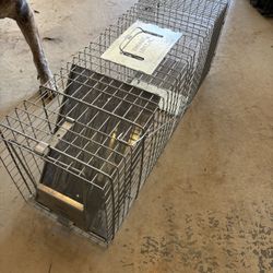 Animal Trap- Small