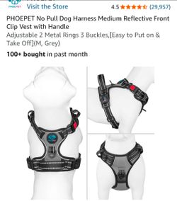 Harness