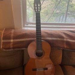 Acoustic Guitar