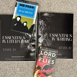 Homeschool English: Essentials In Literature & Writing (Level 12)