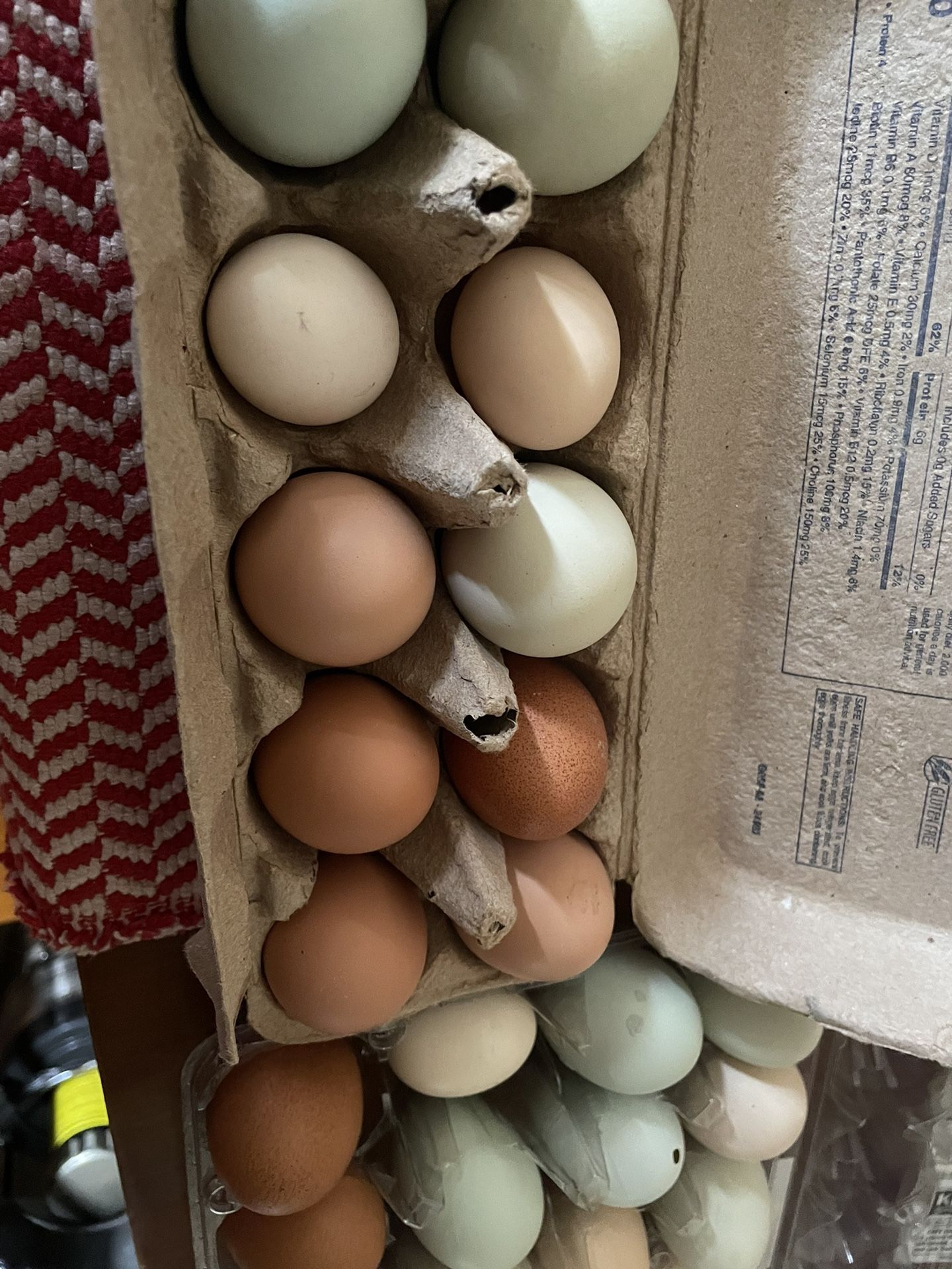 Fresh Eggs