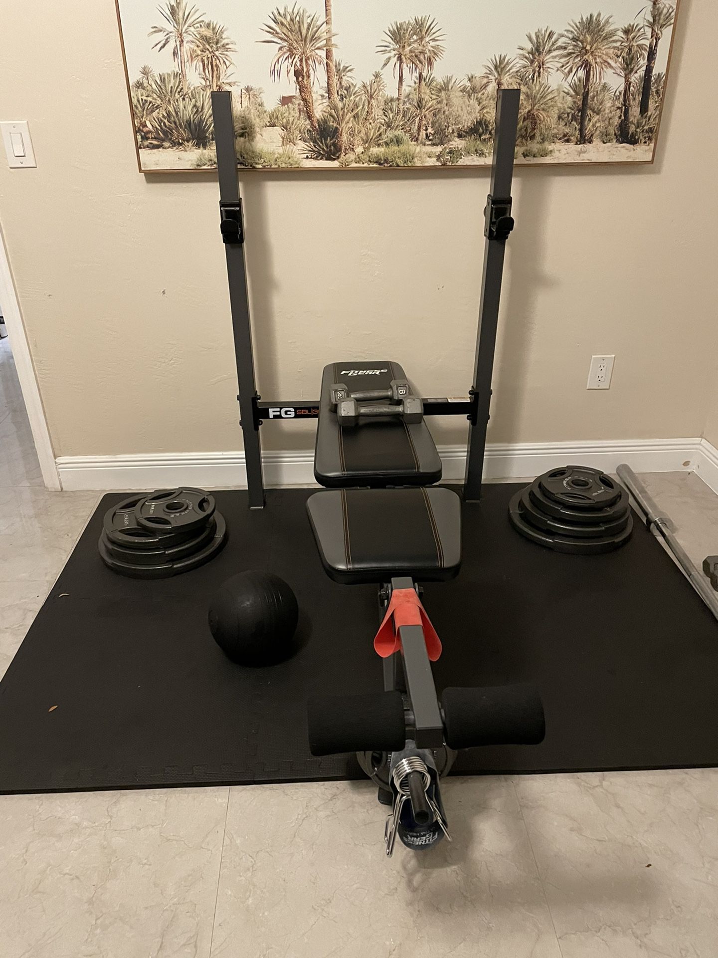 Adjustable Bench Press With 300 Lb Olympic Weight Set